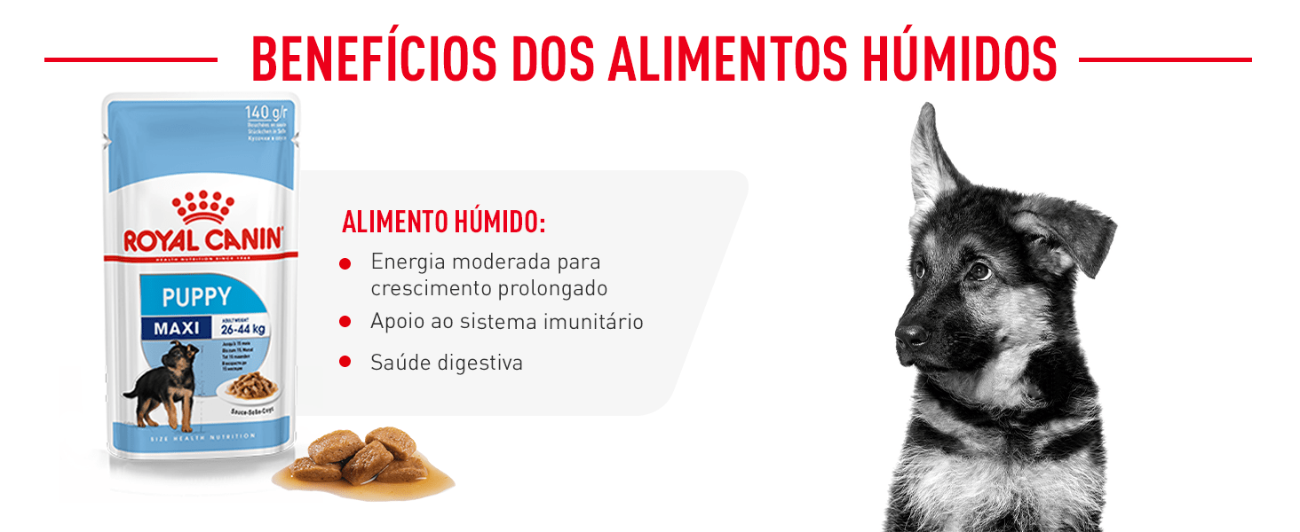 Ração Seca Royal Canin Puppy Pastor Alemão para Cães Filhotes