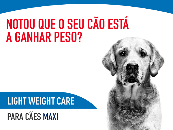 Nath Adult Medium Maxi Weight Control Frango ração para cães