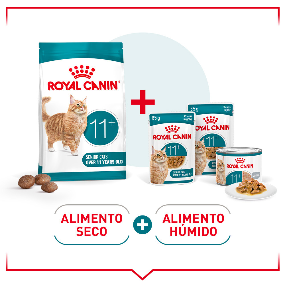 85 G Royal Canin Ageing 11 Alimento H mido Em Gelatina Para Gatos S nior 85 G Royal Canin Ageing 11 Alimento H mido Em Gelatina Para Gatos S nior