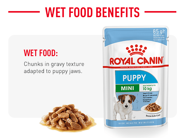 Royal Canin Mini Puppy In Gravy Wet Food 12 X 85g At Fetch Co Uk The Online Pet Store