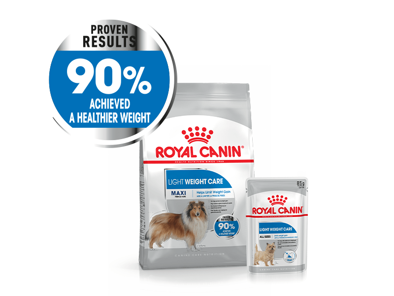 royal canin maxi light weight care
