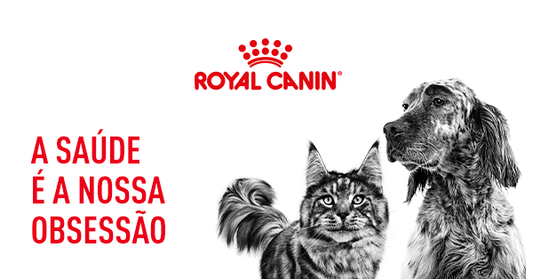 Royal Canin Veterinary Recovery lata para gatos